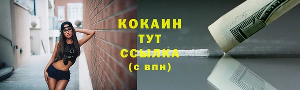 винт Надым