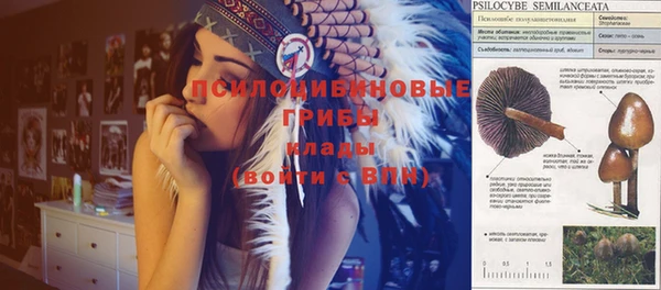 скорость Михайловск