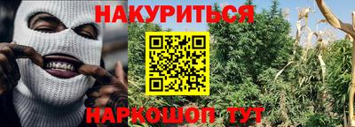 apvp Гусев