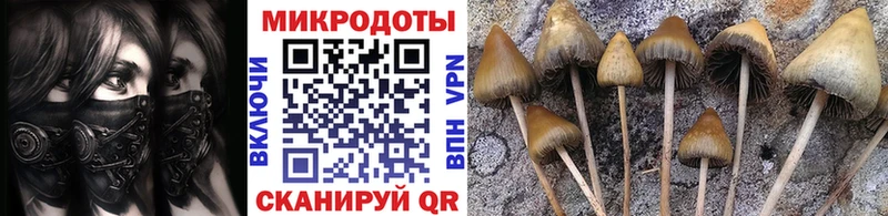 закладка  Красноуфимск  площадка клад  Галлюциногенные грибы GOLDEN TEACHER  блэк спрут ССЫЛКА 