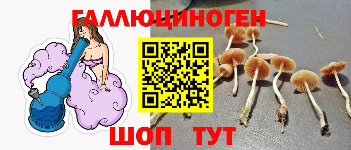 Псилоцибиновые грибы ЛСД Красноуфимск