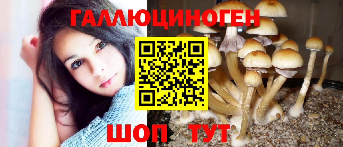 Каннабис  APVP  МЕФ  Масло THC  Мед  Вход с VPN  Красноуфимск  МЕФ  ГАШ 